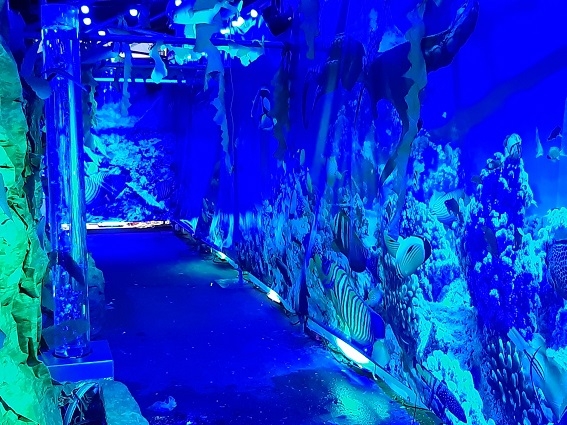 00286 aquarium banner